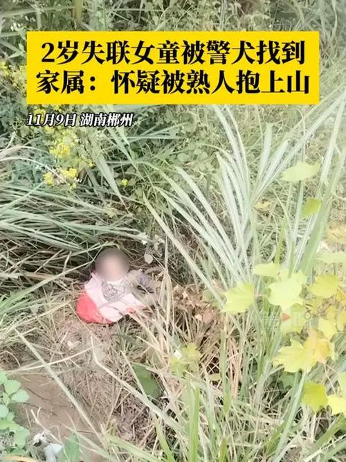 湖南两岁女童家门口失踪事件引人关注