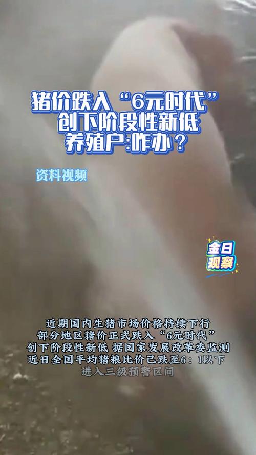 猪价暴跌，进入6元时代危机