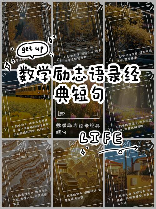 有哪些关于高中数学难度的经典语录？