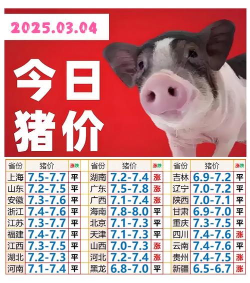 养殖户面临亏损，养一头猪亏损达36元