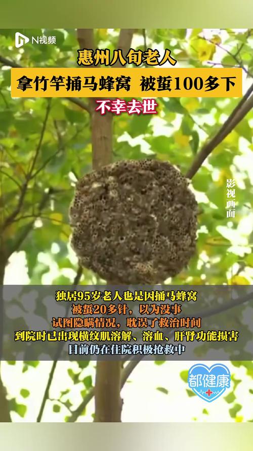 8旬老人捅马蜂窝遭蜂蛰不幸离世，引发社会关注
