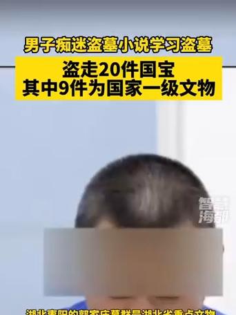 男子看小说学盗墓，挖走国宝文物二十件，揭秘盗墓事件内幕