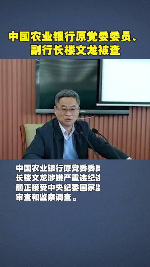 中国农行原副行长楼文龙被判无期，金融腐败的警钟长鸣