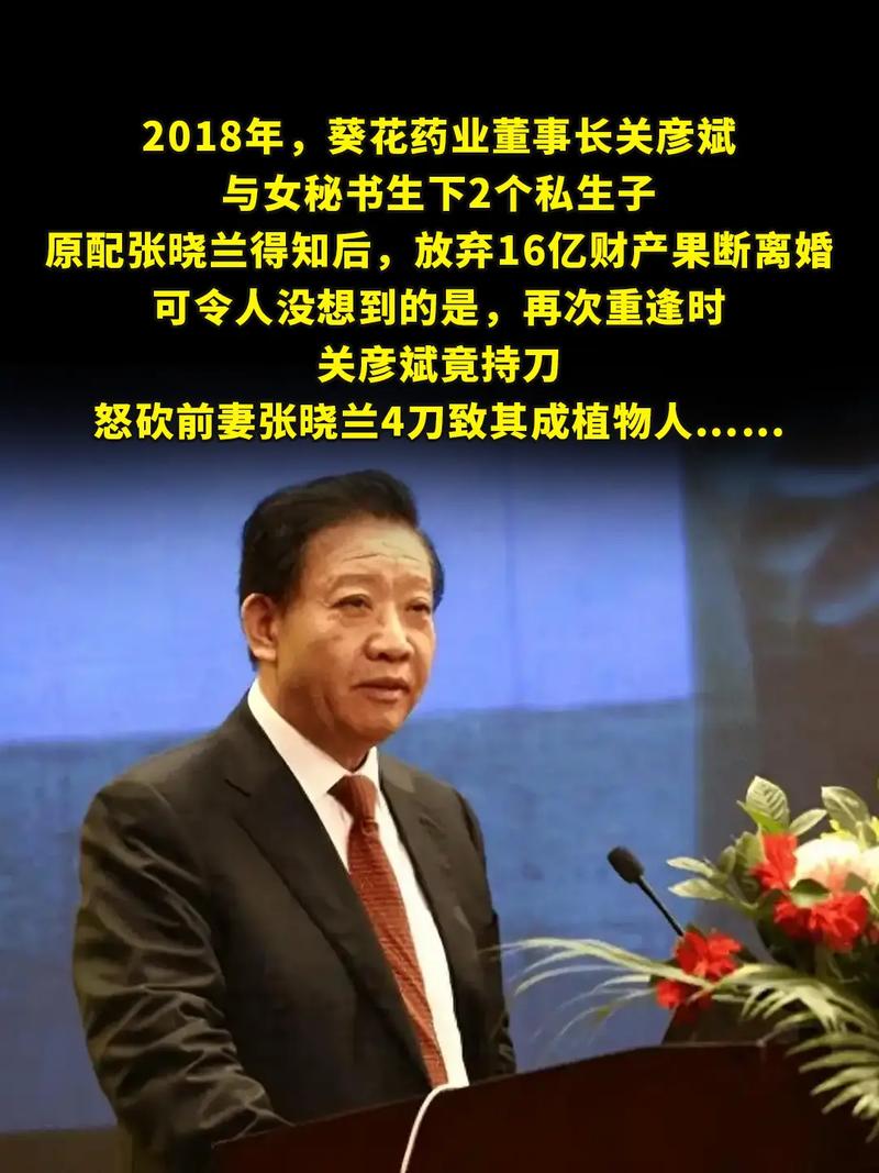 董事长前妻公开指责公司新任董秘，内幕揭秘与风波升级