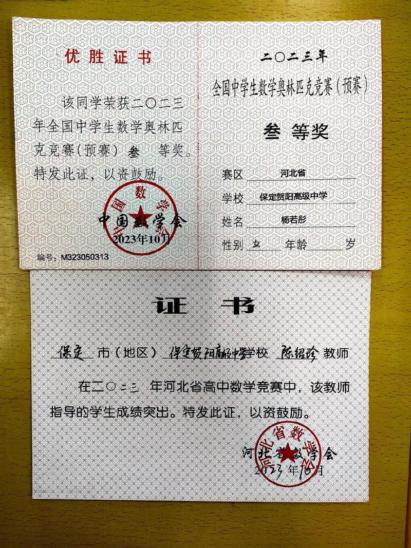 高中数学领域有哪些荣誉称号？