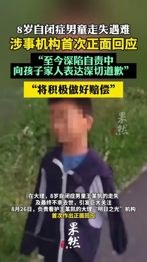 自闭症男童遇难事件，机构首次正面回应引发关注