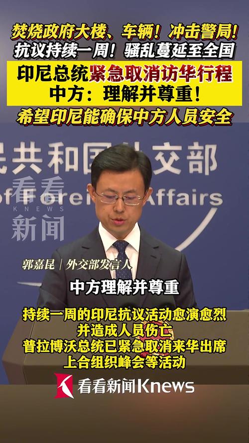 中方回应印尼总统取消访华行程，展现友好交往与务实合作的重要性