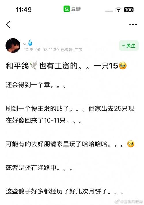 和平鸽每只享有15元工资待遇