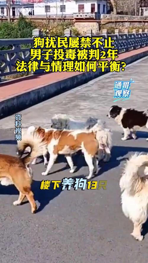 男子因不满狗半夜吠叫，毒死九只狗获刑，法律如何对待动物权益与邻里安宁的矛盾
