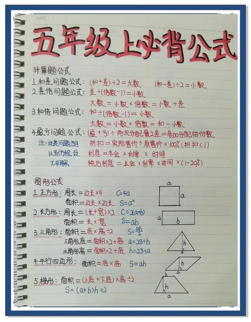 如何学好小学五年级数学？