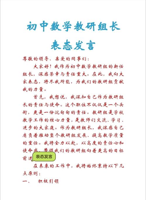 如何撰写小学数学教研组长的发言材料？
