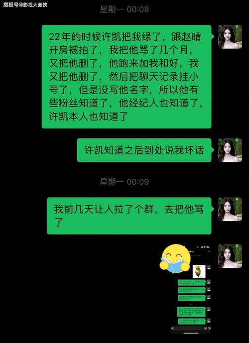 许荔莎澄清，聊天截图纯属虚构
