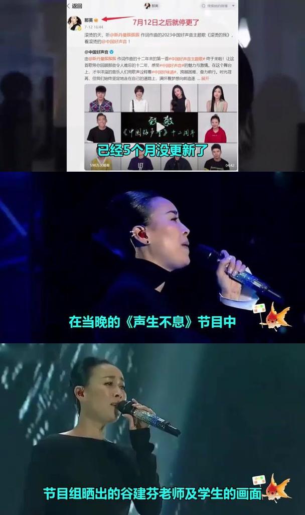 那英社交平台内容全面隐藏，揭秘背后的故事