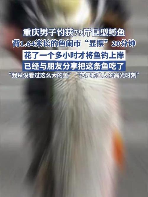 男子闹市穿行，背着罕见巨型鳡鱼——79斤收获引发围观热议