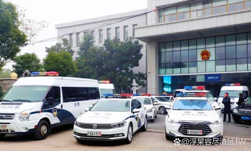 河南南阳辟谣，法院警车未参与接亲活动