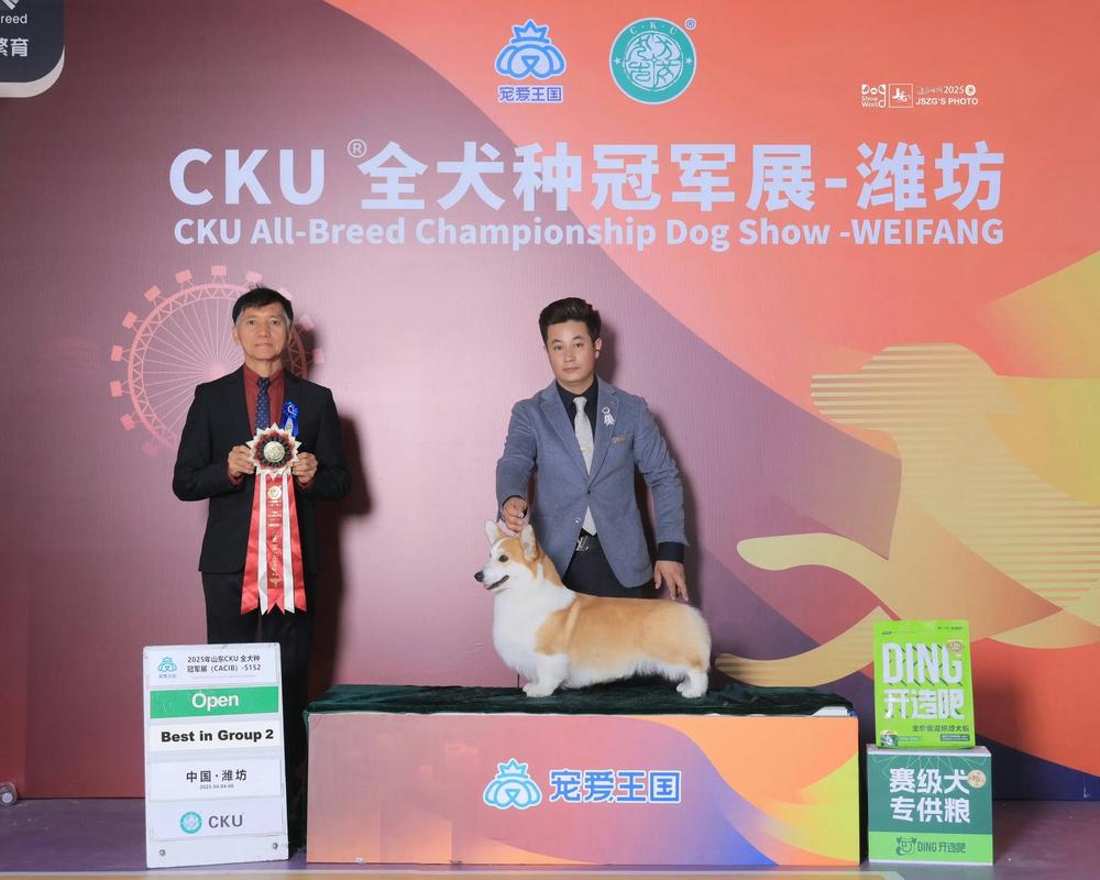 卢卡申科与市民互动，宠物狗意外抢镜时刻