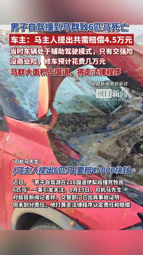 游客自驾撞马群致六马死亡事件引发关注热议
