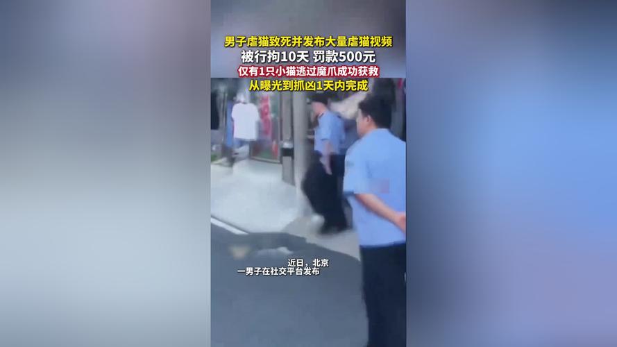 持铁锤砸路人致死男子患精神分裂症，事件引发社会关注