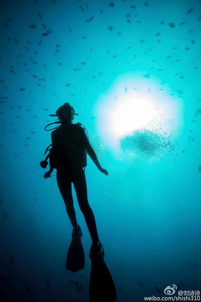 女子海上漂流45分钟，潜水遭遇遗忘的惊险之旅
