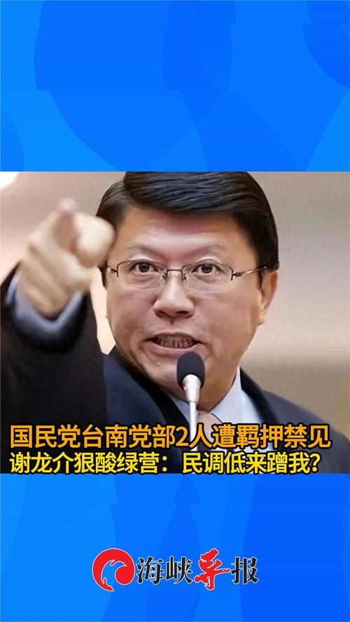 台最新民调显示谢龙介大胜林俊宪，民意背后的力量与影响