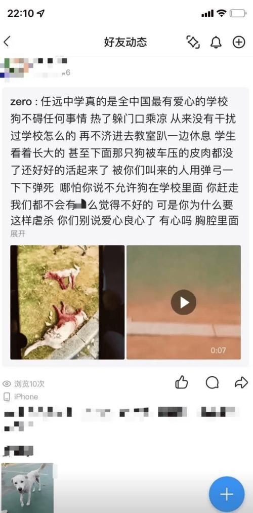 学校保安处置流浪狗引发争议，校长回应事件真相