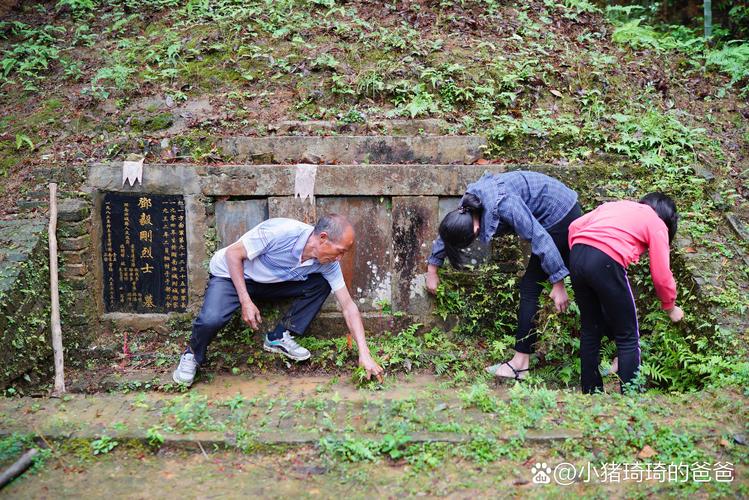 河南公职人员他人耕地屡次修坟事件揭秘