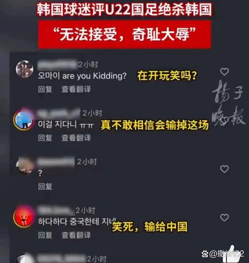 网友侮辱虚拟偶像遭判赔10万韩元，网络言论需负责任