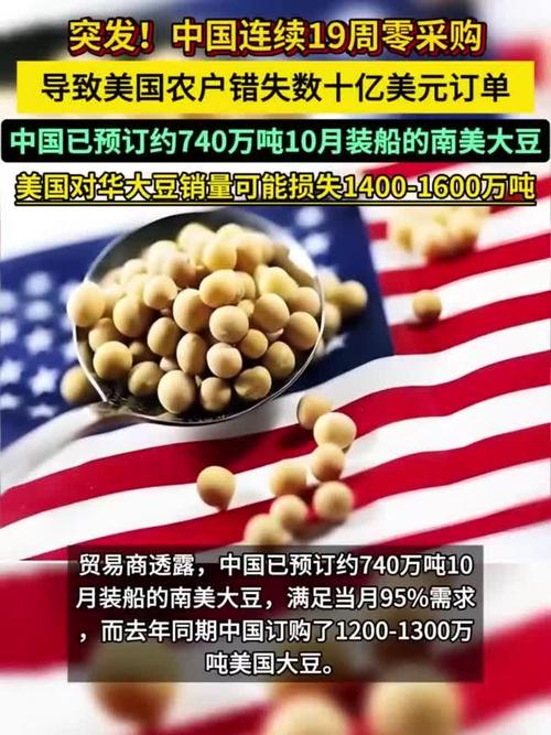 美国大豆中国订单量持续为零，市场趋势与影响因素分析