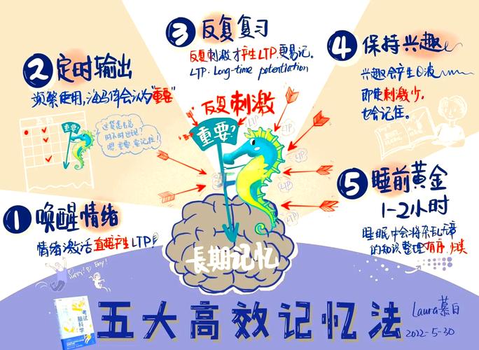 如何提高初中数学记忆力？