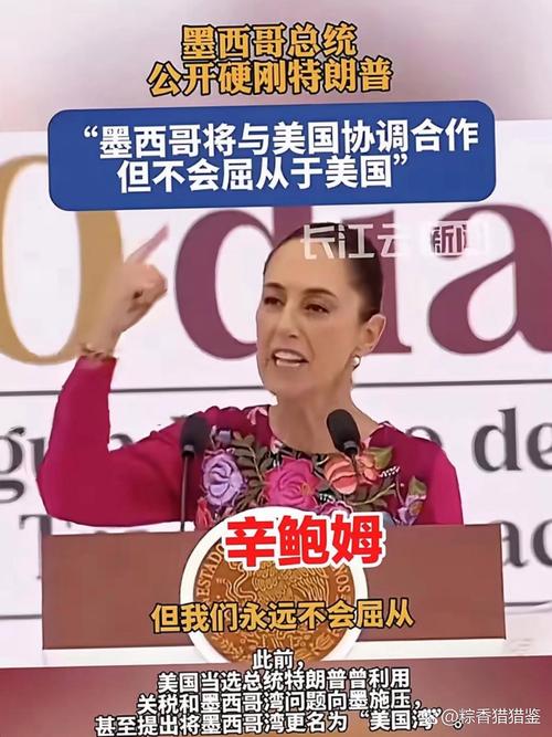 加拿大与墨西哥寻求绕过美国关税墙的策略之道
