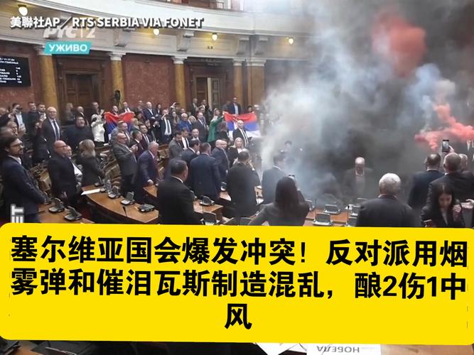 塞尔维亚致力于搭建冲突各方对话平台