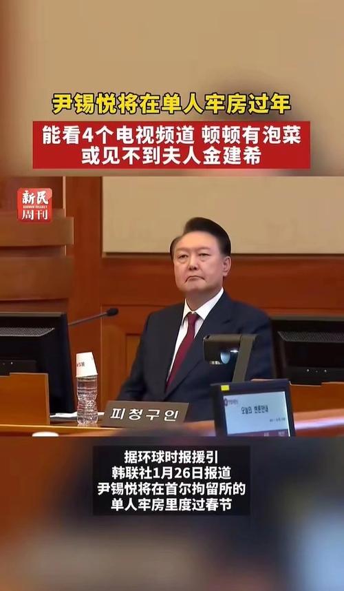 尹锡悦自述理由申请保释，揭秘背后的真相与诉求