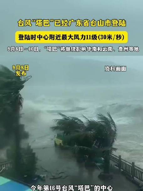 台风博罗依来袭，停课停运紧急措施启动！