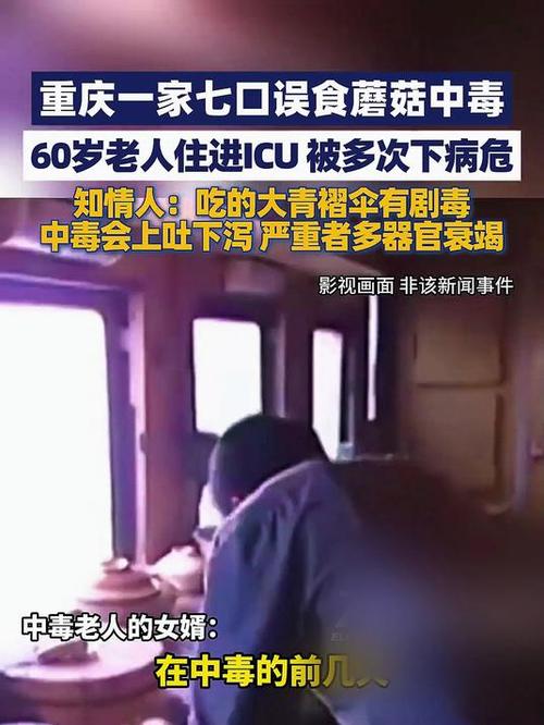女子称婆婆食用邻居赠送的蘑菇中毒不幸去世，家庭悲剧引发社会关注与警示