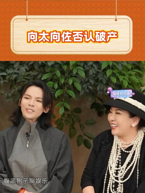 向太回应破产传闻，向家经济现状揭秘