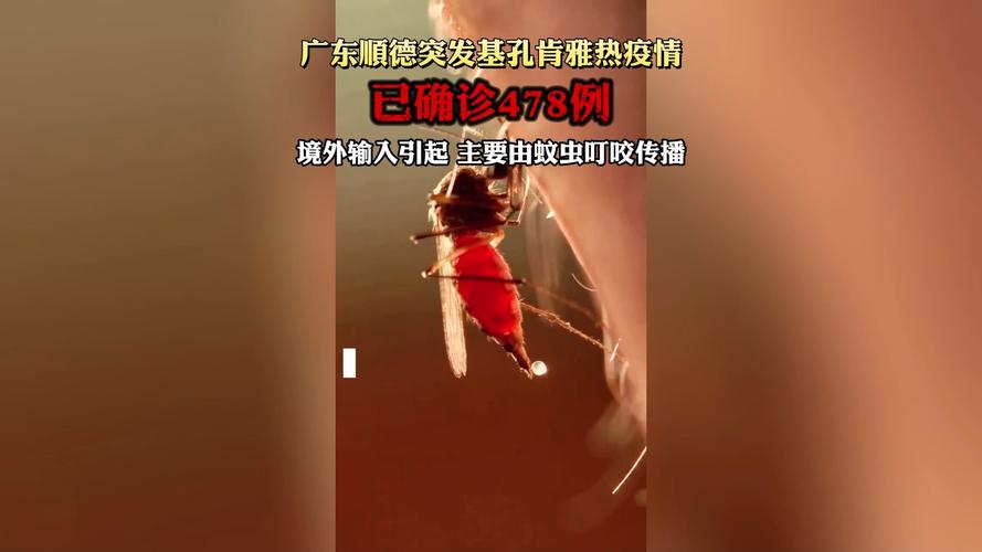 广东新增基孔肯雅热本地个案达3153例，疫情形势严峻提醒防疫不松懈