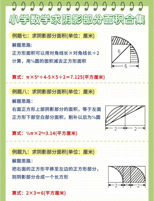 初中数学中如何求三角形的面积？