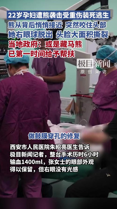 遭熊袭击孕妇坚定守护胎儿，母爱力量无畏挑战