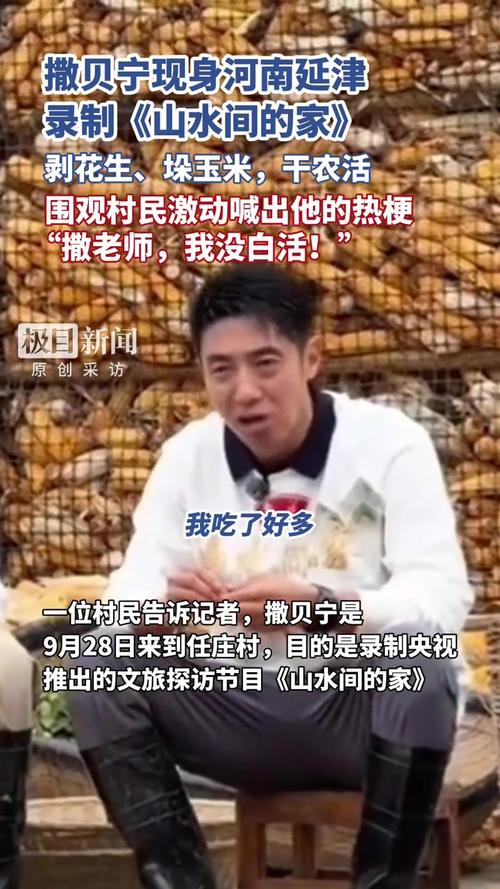 撒贝宁现身中国第一麦之乡体验剥花生劳作乐趣