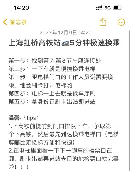 男生高铁站极限换乘，挑战速度与时间的极限，15秒换乘大挑战！