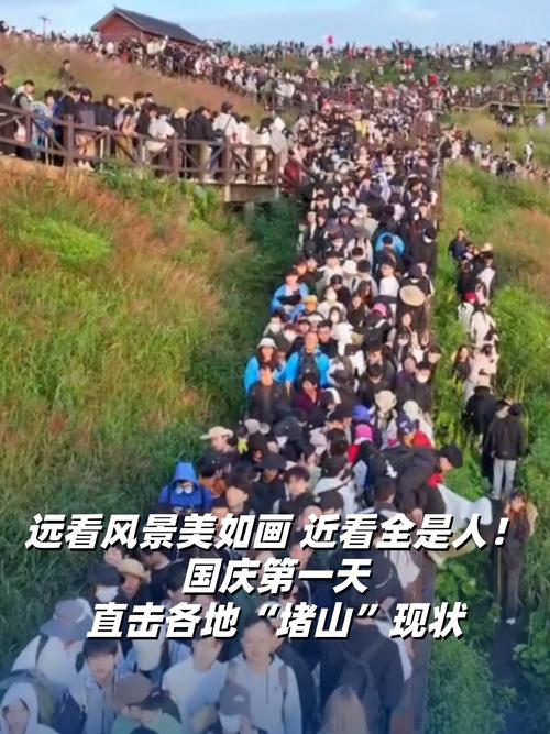 风景美如画背后的人群百态