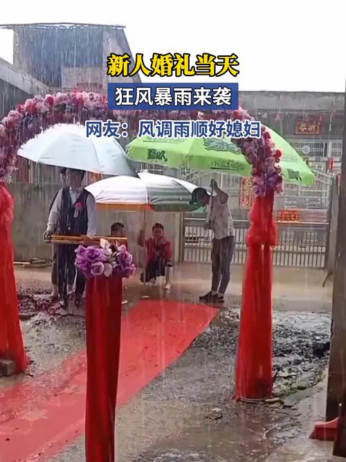 新人台风天办婚礼，风雨中的浪漫与坚韧
