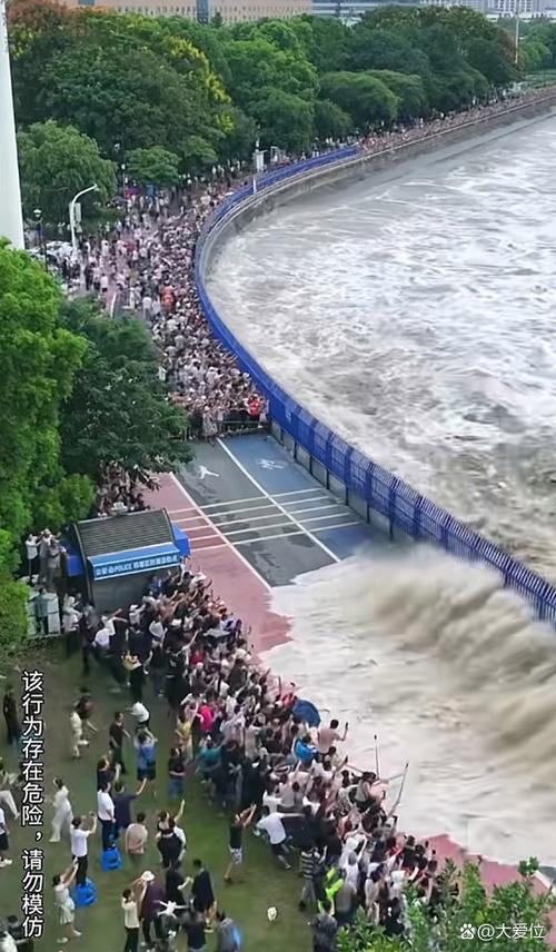 直升机追潮，钱塘江大潮空中追踪之旅