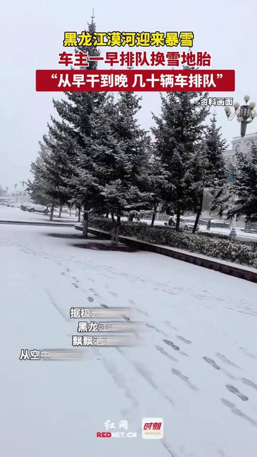 黑龙江漠河雨雪纷飞，初雪景象引关注