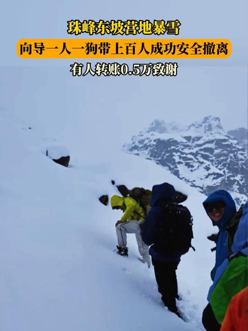 珠峰暴雪来袭，向导一人一狗带领百人成功撤离险境
