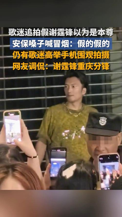 歌迷狂热追拍谢霆锋现场揭秘，安保揭秘真相，原来都是假的！
