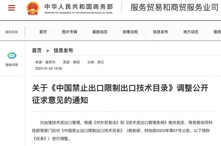 中国对锂电池等出口管制措施的实施及其影响