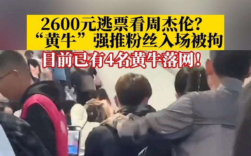 黄牛强推无票歌迷过闸机行为被拘，引发社会关注与思考