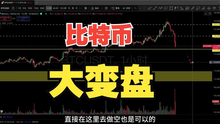 比特币价格再度暴跌，市场波动引发关注