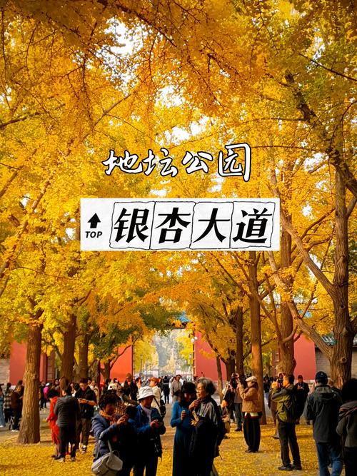 地坛公园打卡新姿势，潮流升级！